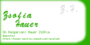 zsofia hauer business card